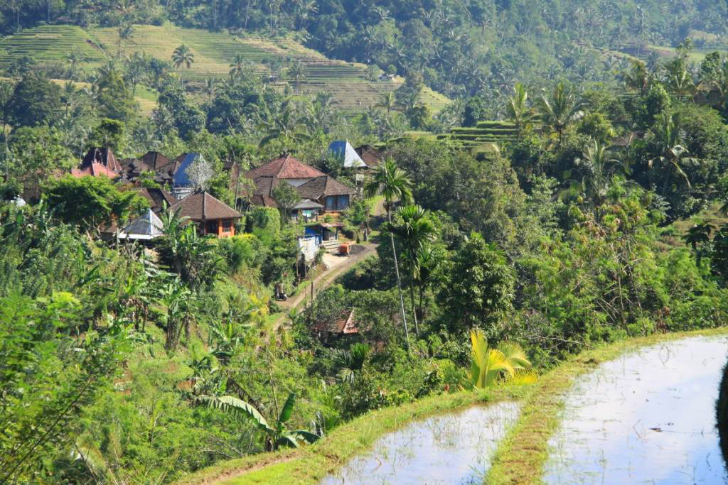 L'&icirc;le de Bali en Indon&eacute;sie 003