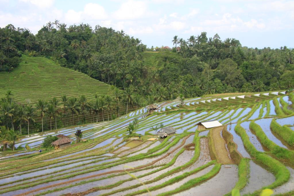 L'&icirc;le de Bali en Indon&eacute;sie 002