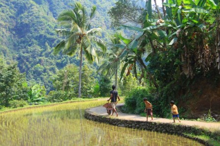 L'&icirc;le de Bali en Indon&eacute;sie 7