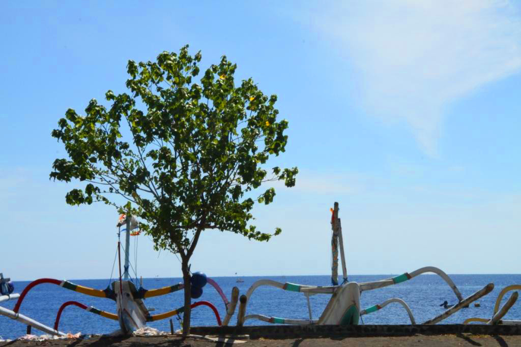 L'&icirc;le de Bali en Indon&eacute;sie 010