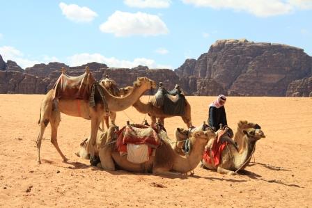 La Jordanie, Petra et le d&eacute;sert du Wadi Rum... 12