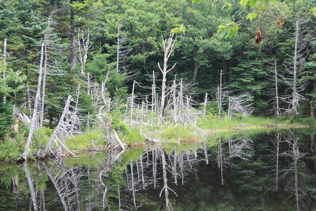 P&eacute;riple en Nouvelle-Angleterre 002