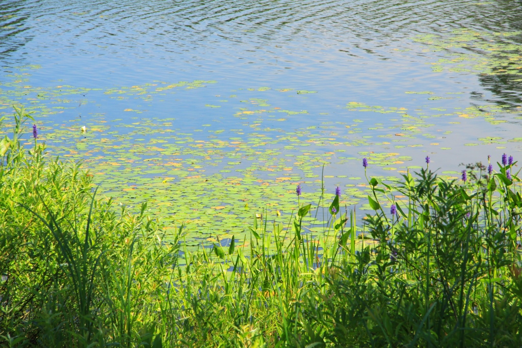P&eacute;riple en Nouvelle-Angleterre 009