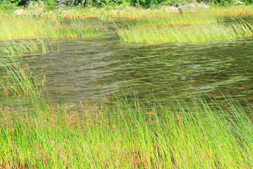 P&eacute;riple en Nouvelle-Angleterre 016