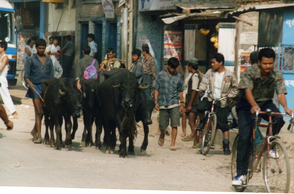 Trek au N&eacute;pal 002