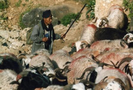 Trek jusqu'au camp de base de l'Annapurna 13