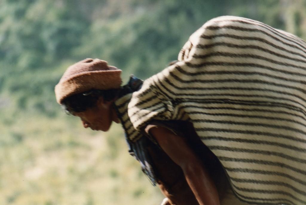 Trek au N&eacute;pal 014