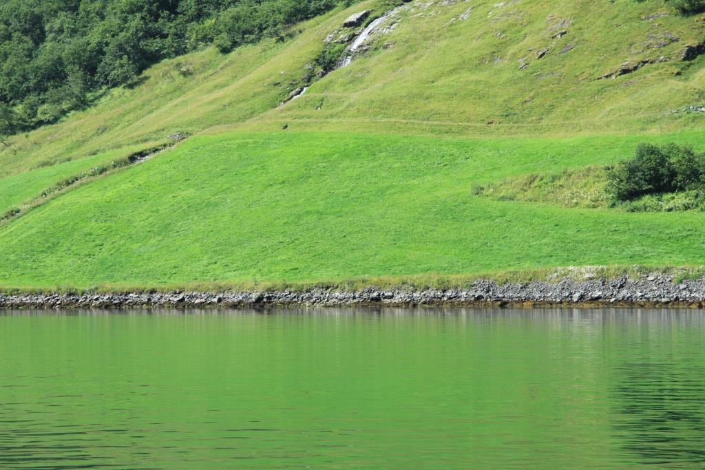 La Norv&egrave;ge, les fjords et les glaciers... 007