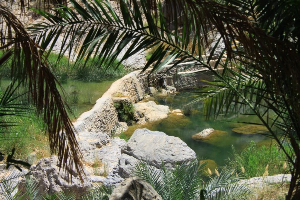 Le sultanat d'Oman 002