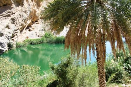 Le sultanat d'Oman 3