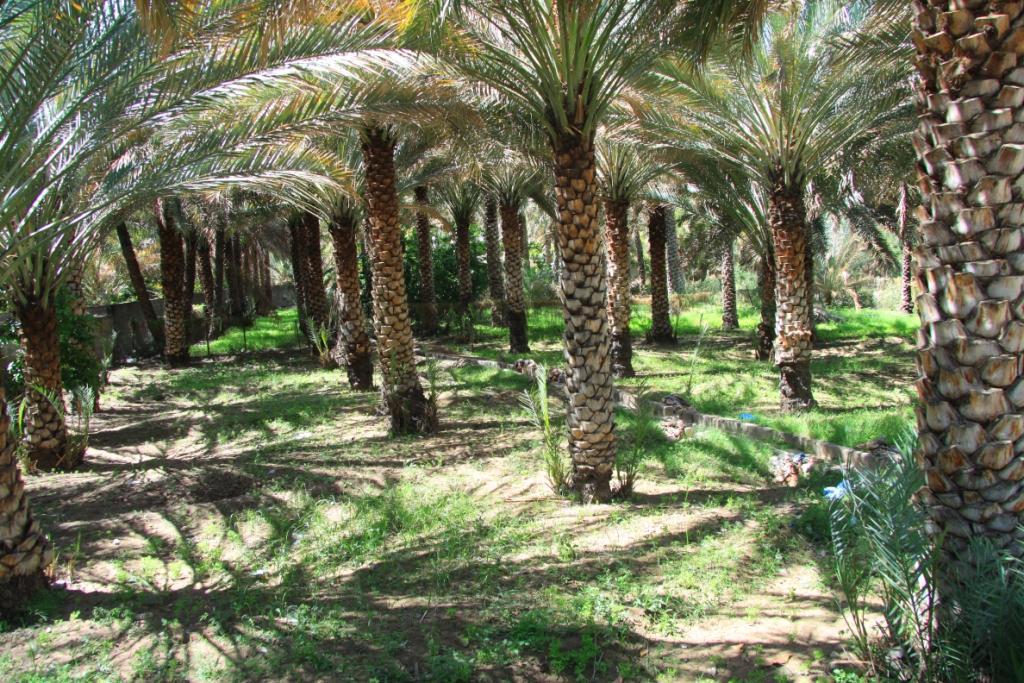 Le sultanat d'Oman 007