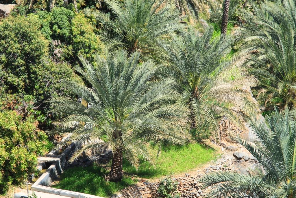 Le sultanat d'Oman 006