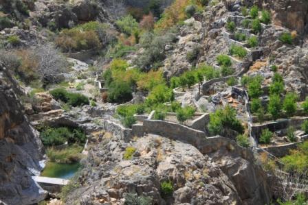 Le sultanat d'Oman 11