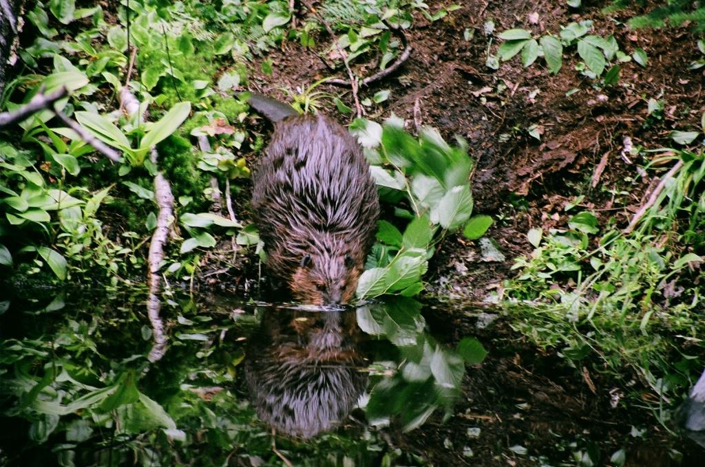Voyage au Qu&eacute;bec 001