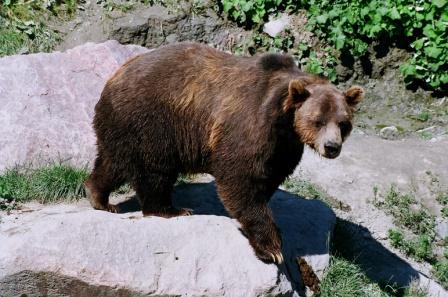 Voyage au Qu&eacute;bec 16