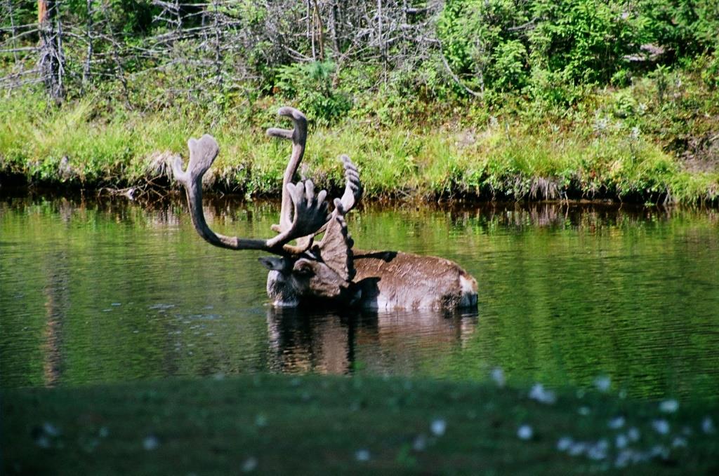 Voyage au Qu&eacute;bec 014