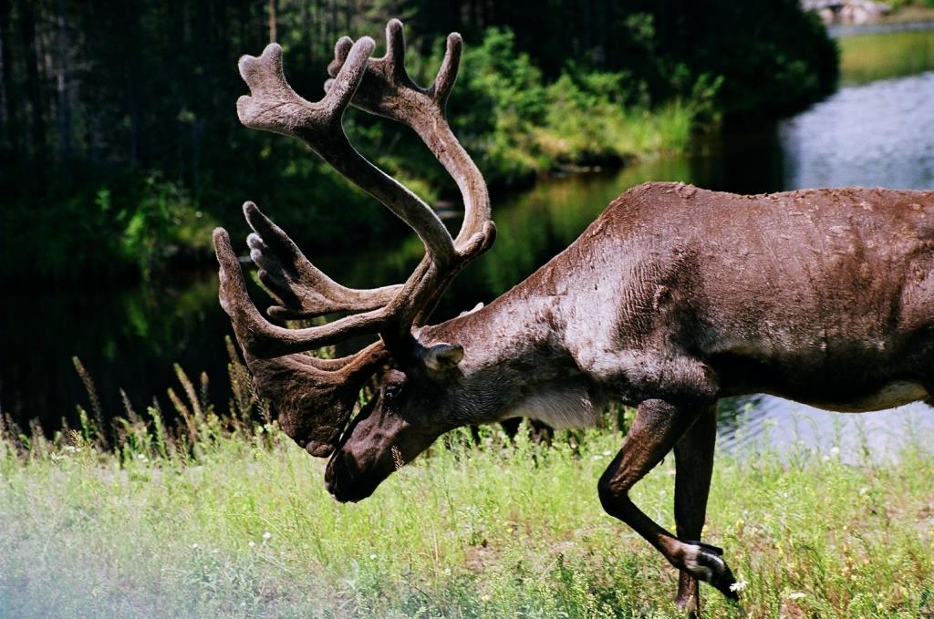 Voyage au Qu&eacute;bec 015