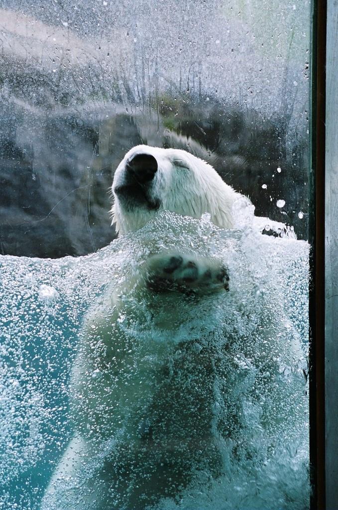 Voyage au Qu&eacute;bec 006