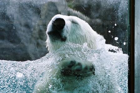 Voyage au Qu&eacute;bec 6