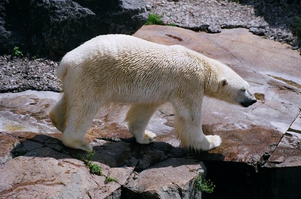 Voyage au Qu&eacute;bec 007