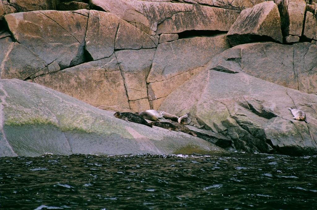 Voyage au Qu&eacute;bec 010