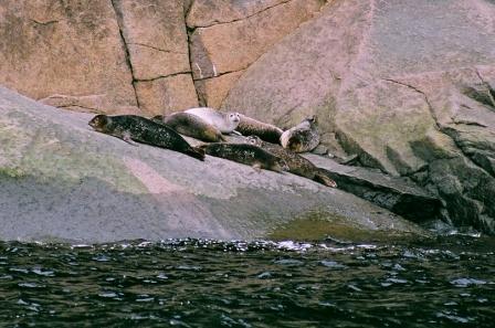 Voyage au Qu&eacute;bec 10
