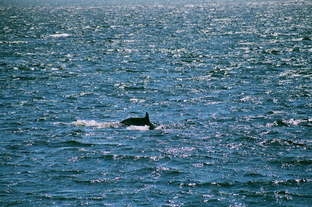 Voyage au Qu&eacute;bec 011