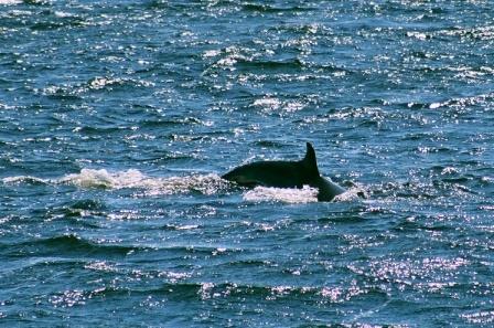 Voyage au Qu&eacute;bec 11