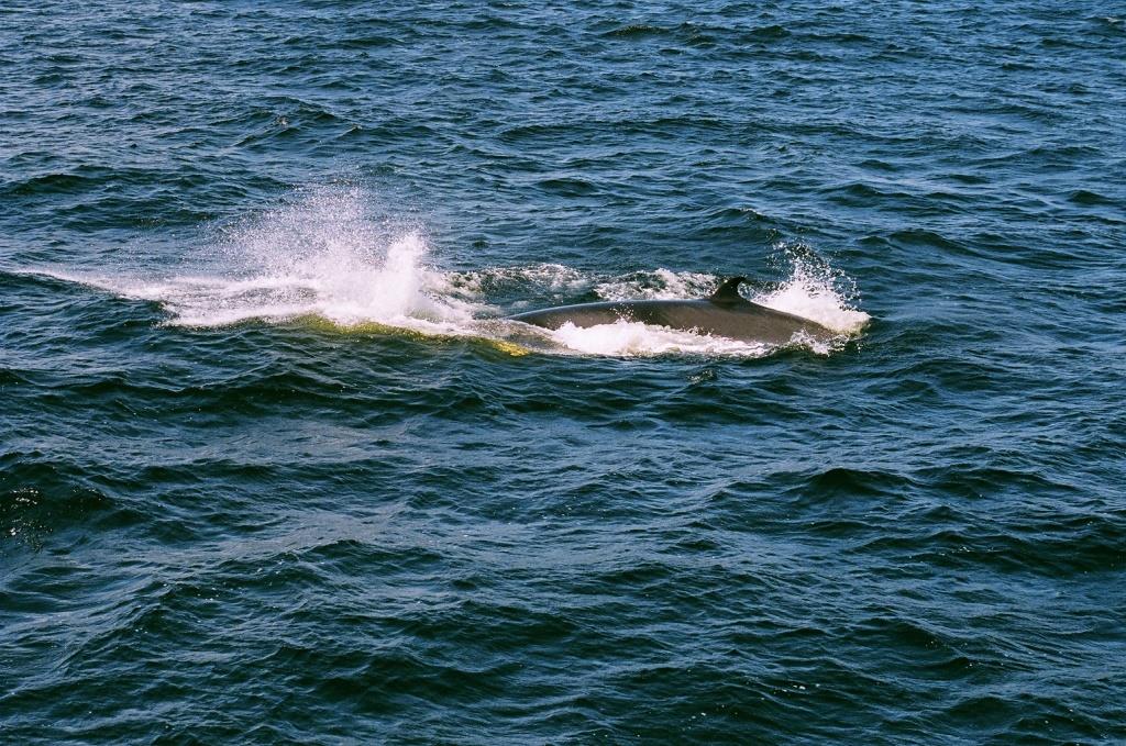 Voyage au Qu&eacute;bec 012