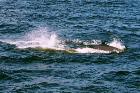Voyage au Qu&eacute;bec 12