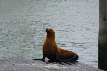 Les grands parcs am&eacute;ricains 1