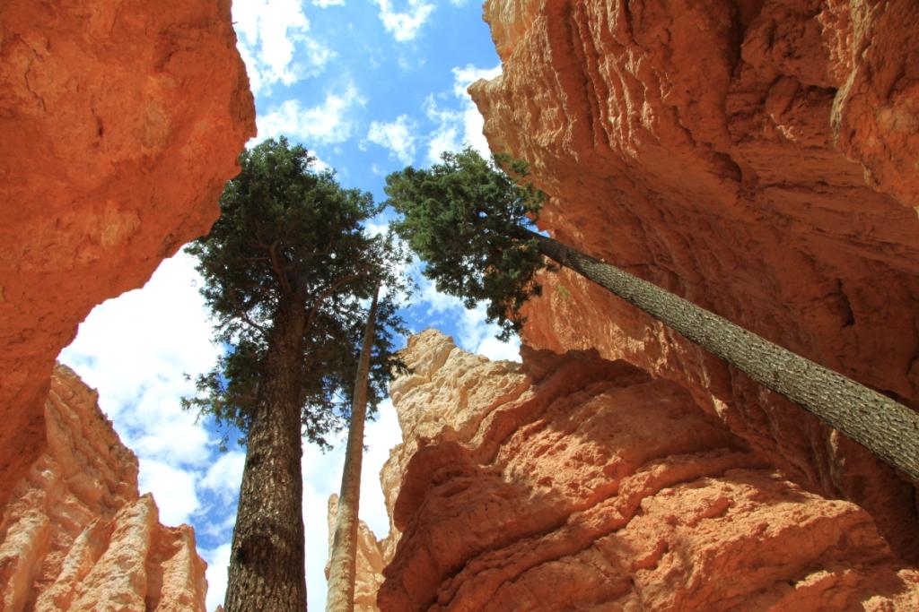 L'ouest am&eacute;ricain 003