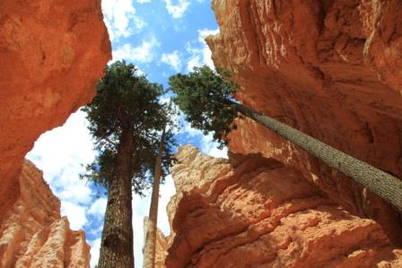 Les grands parcs am&eacute;ricains 3