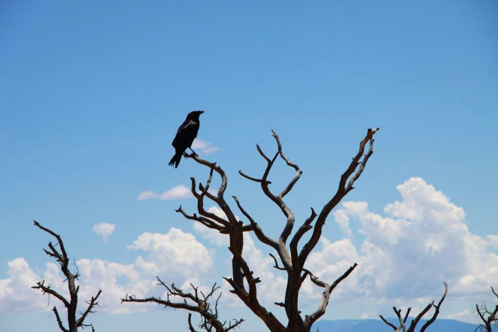 L'ouest am&eacute;ricain 005