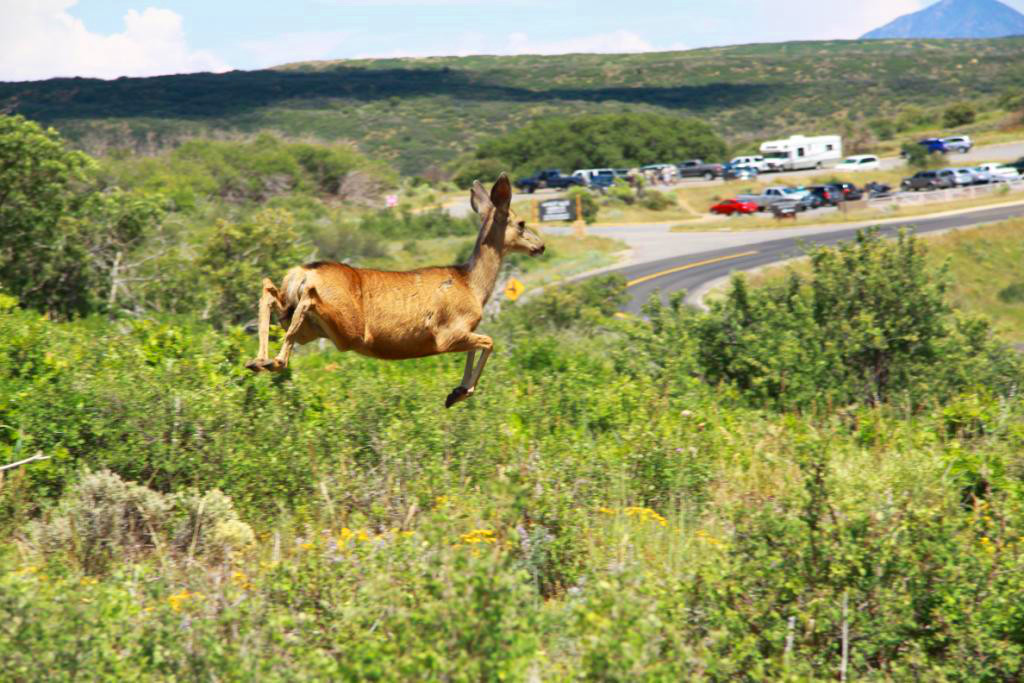 L'ouest am&eacute;ricain 012