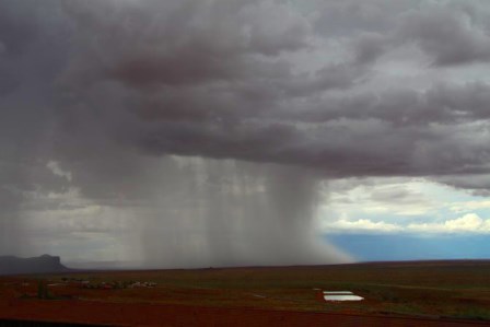 Les grands parcs am&eacute;ricains 15