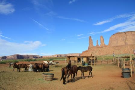 Les grands parcs am&eacute;ricains 17