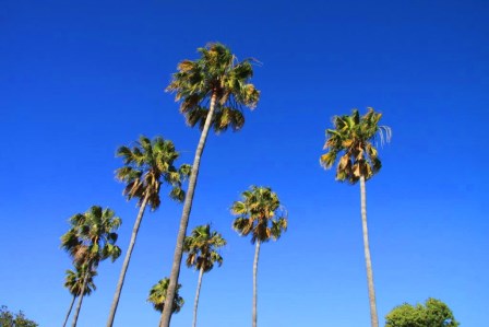 Les grands parcs am&eacute;ricains 21